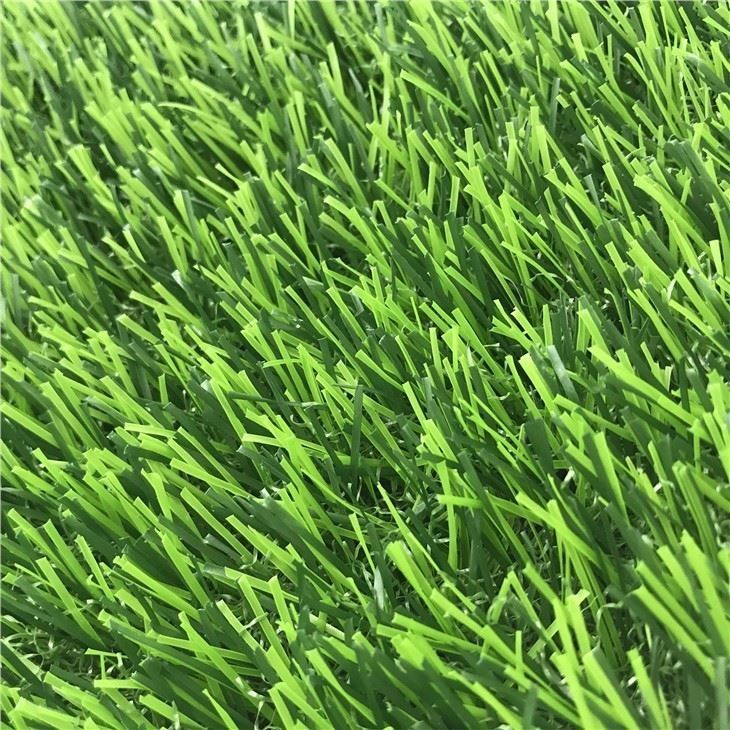 all-green34504969060 (4