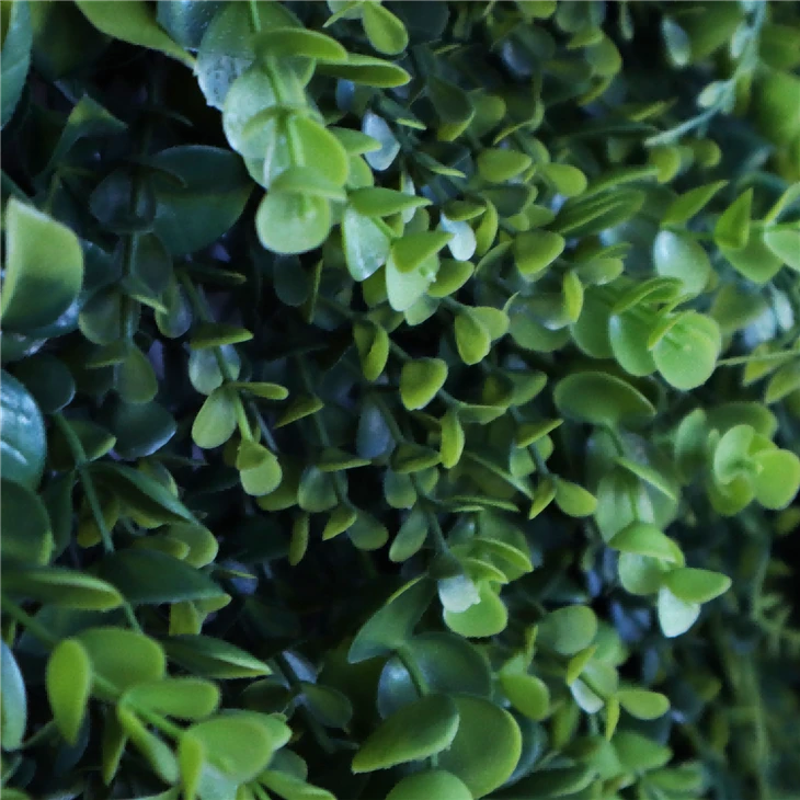 Green Wall Plants