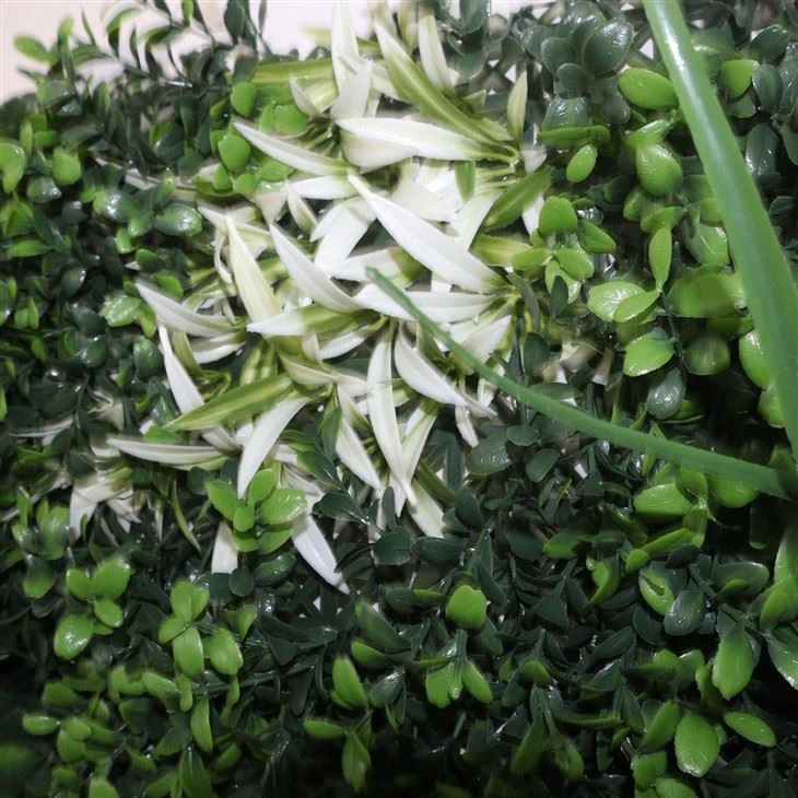 Artificial Ivy Plants