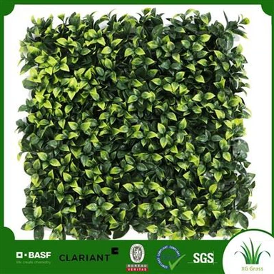 Pared de plantas de interior