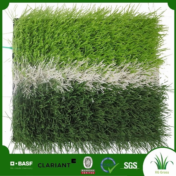 product-600-600
