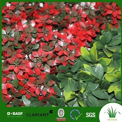 Plantas de imitación