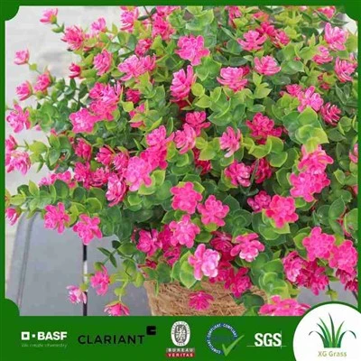 Flor de Pascua falsa
