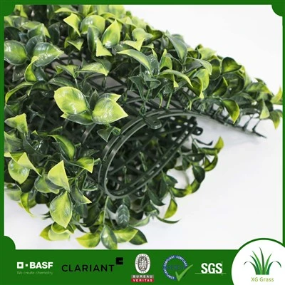 Muro verde para oficina
