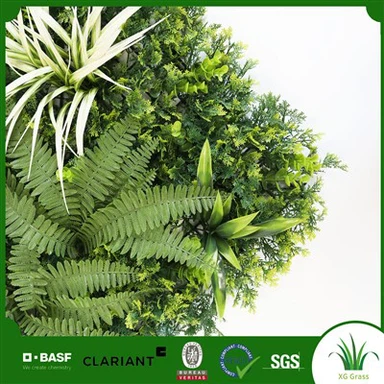 Muro verde interior