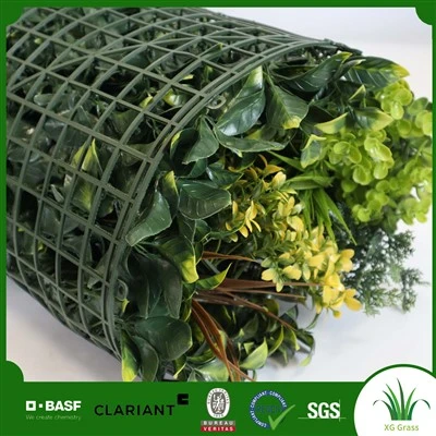 Plantas para colgar en la pared interior