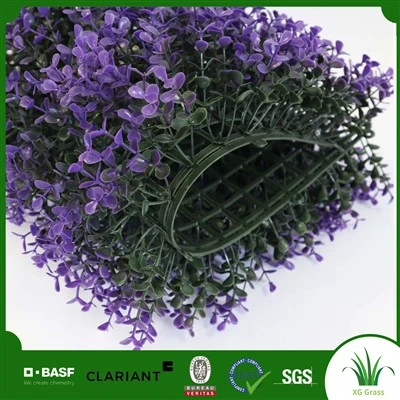 Hierba de pared natural