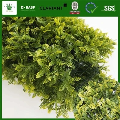 Pared verde al aire libre