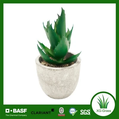 Mini plantas suculentas falsas realistas de Xingu para decoración del hogar