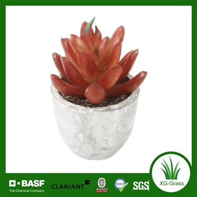 Suculenta artificial roja Xingu para acentos elegantes en el hogar