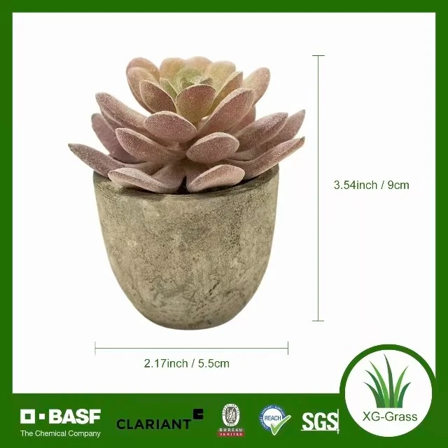 Mini decoración suculenta que no se decolora